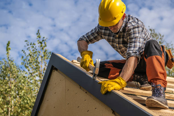 Best Emergency Roof Repair Services  in , AK